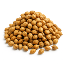CORIANDER (DHANIYA) SEEDS