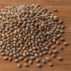 RADISH (MOOLI) SEEDS